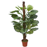 Artificial Calathea Plant in Pot 110cm