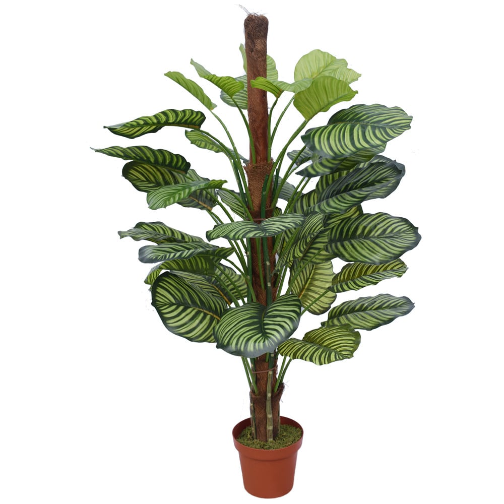 Artificial Calathea Plant in Pot 110cm - Designer Plants