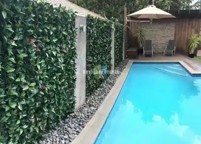 Artificial Photinia Hedge Panels