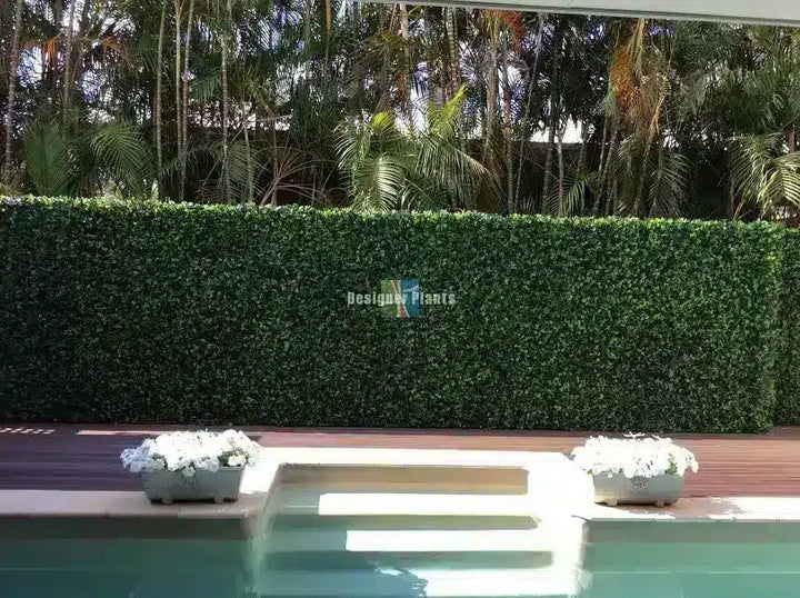 A tall, dense green artificial hedge wall behind a swimming pool deck, with two white flower boxes on the pool steps and tropical trees in the background.