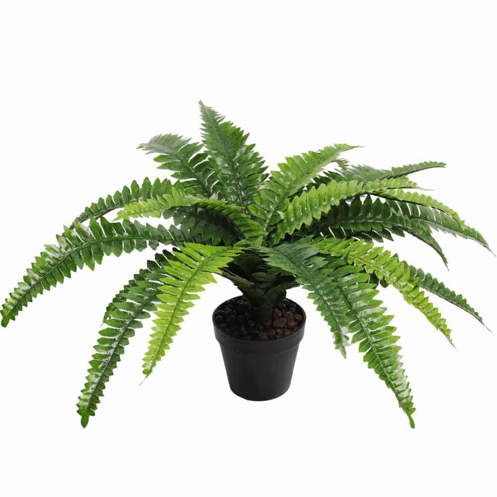 Artificial Potted Natural Green Boston Fern (50cm high 70cm wide) - Designer Plants