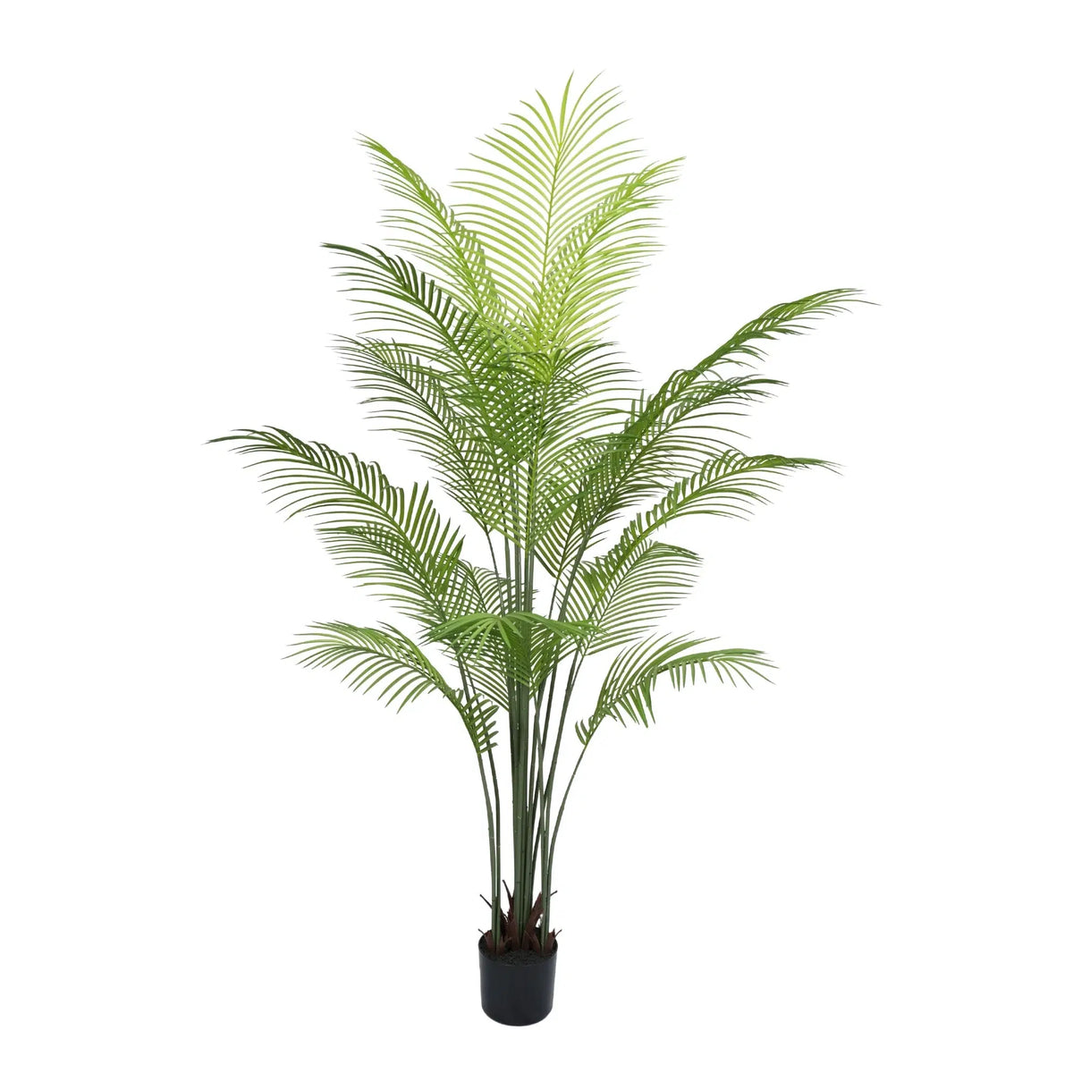 Premium Dense Artificial Palm Tree 180cm Areca (Knock Down)