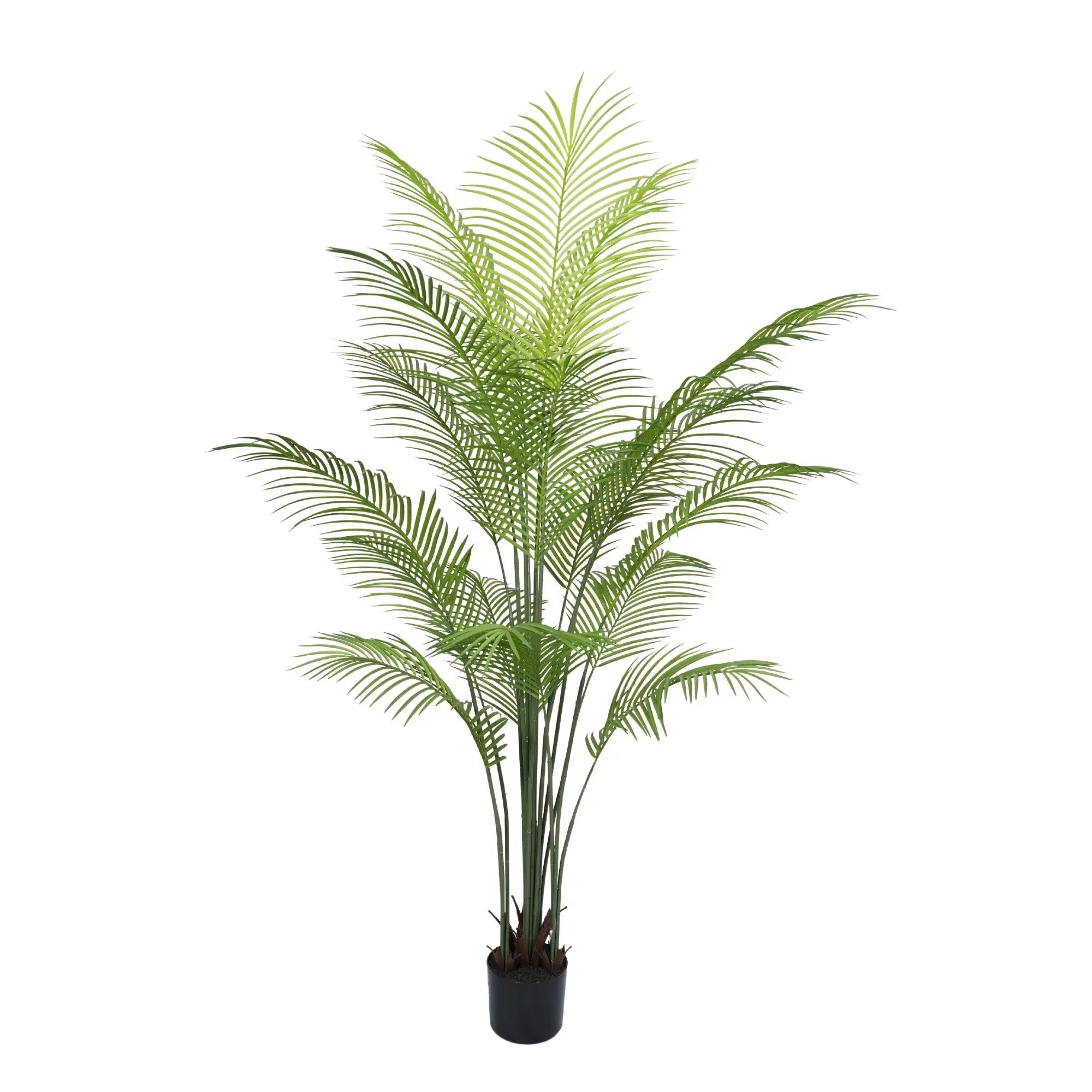 Premium Dense Artificial Areca Palm Tree 180cm (Knock Down)