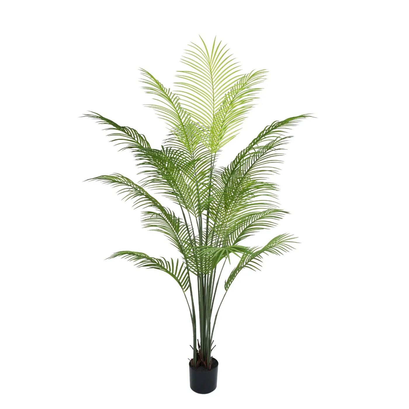 Premium Dense Artificial Palm Tree 180cm Areca (Knock Down)