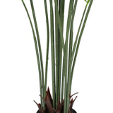 Premium Dense Artificial Palm Tree 180cm Areca (Knock Down)