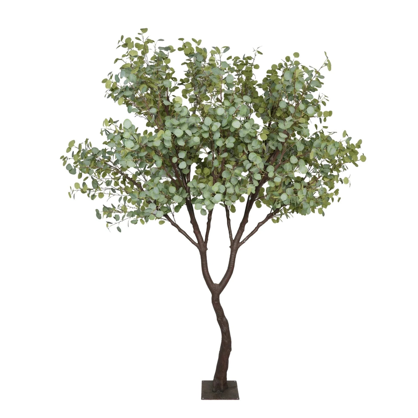 Artificial eucalyptus tree on a white background