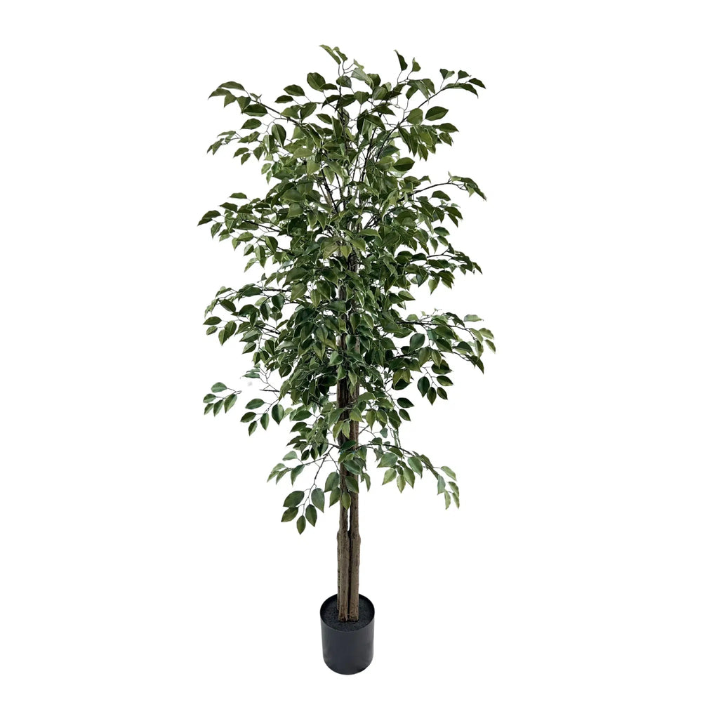 Artificial potted tree with green leaves on a white background