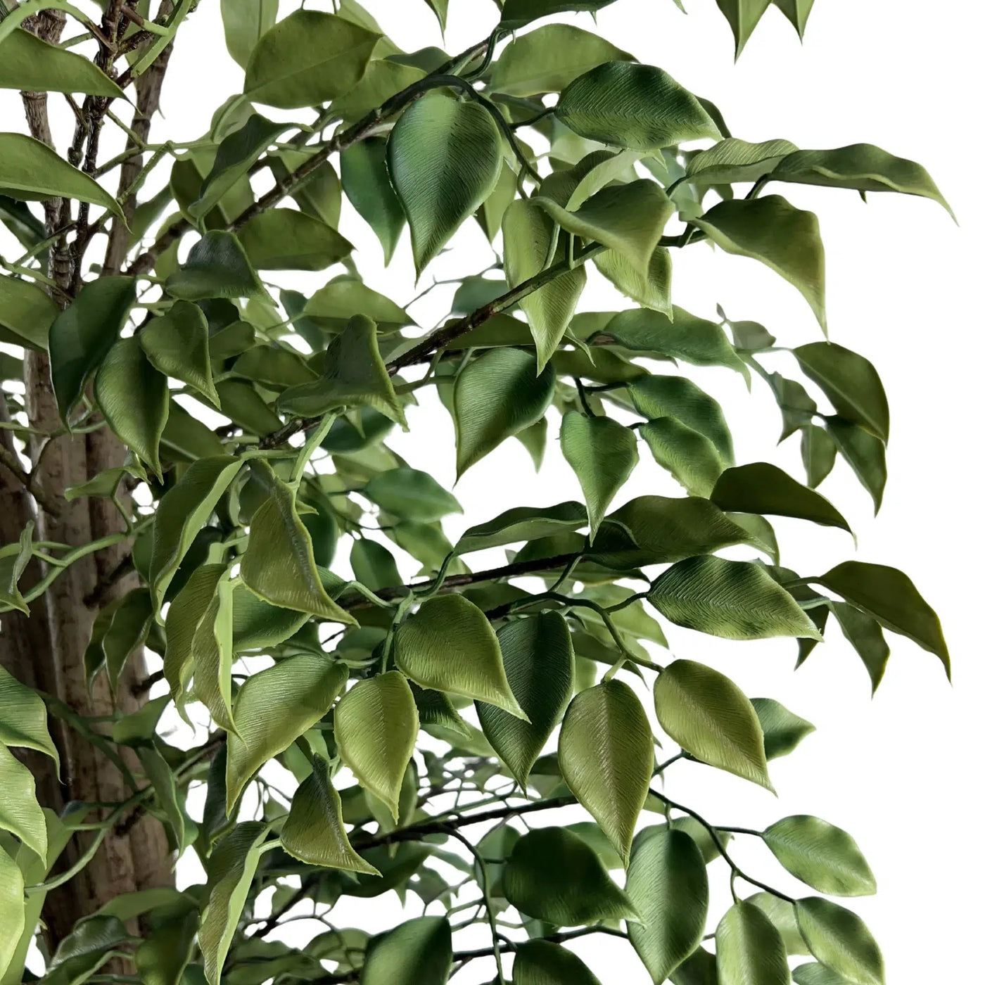 Very Beautiful Artificial Ficus Tree with UV Resistance 180cm