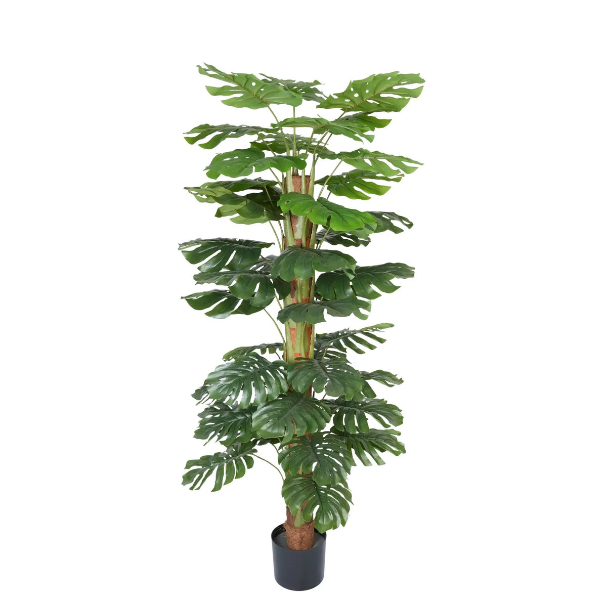Premium Artificial Potted Monstera Plant 145cm - Designer Plants