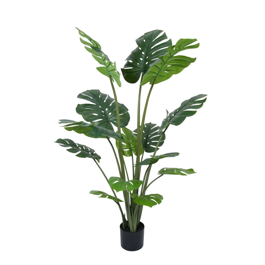 Premium Artificial Potted Monstera Tree 150cm - Designer Plants