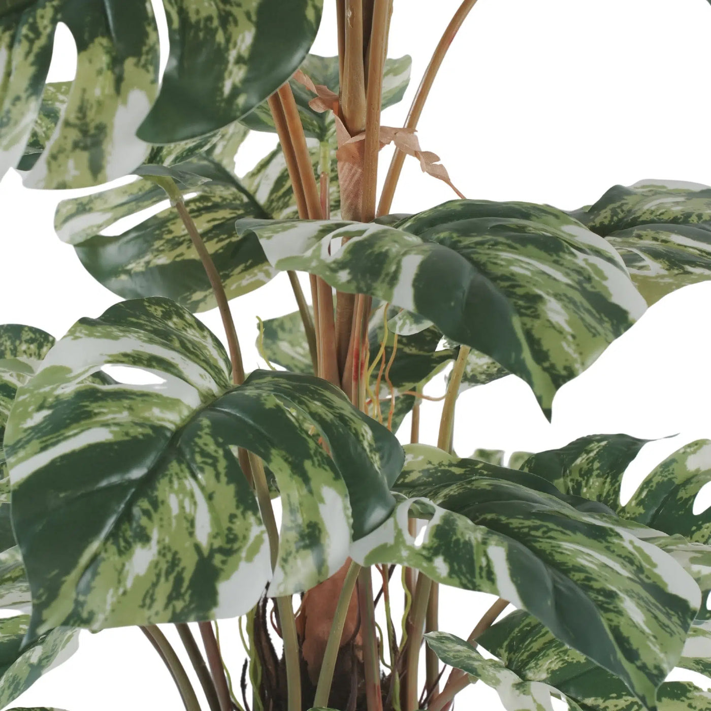 Premium Artificial Monstera Deliciosa / Variegated Monstera (Swiss Cheese) 90cm