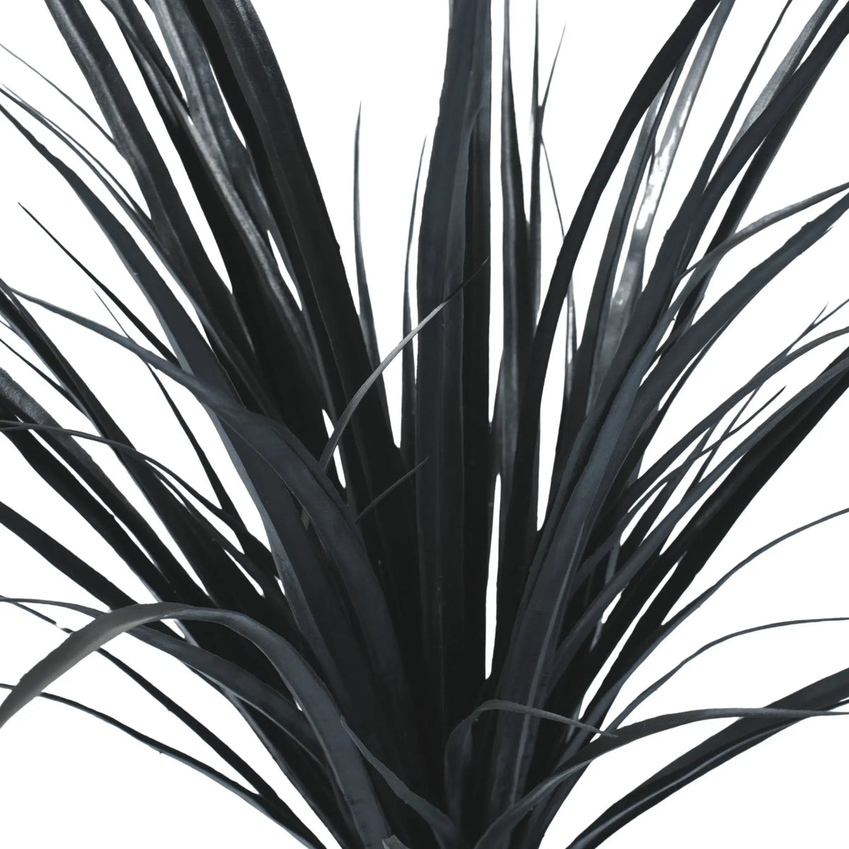 Premium Black Potted Artificial Long Grass (Yucca Grass) 75cm UV Resistant
