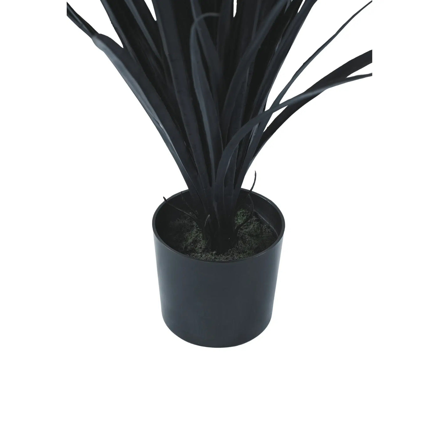 Premium Black Potted Artificial Long Grass (Yucca Grass) 75cm UV Resistant