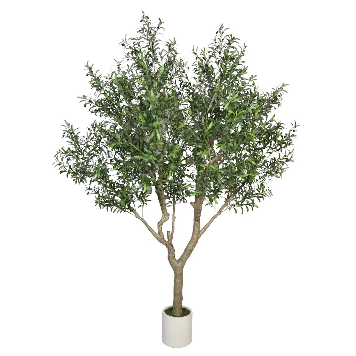 Nearly Natural Extra Large Olive Tree with Olives 280cm - Designer Plants