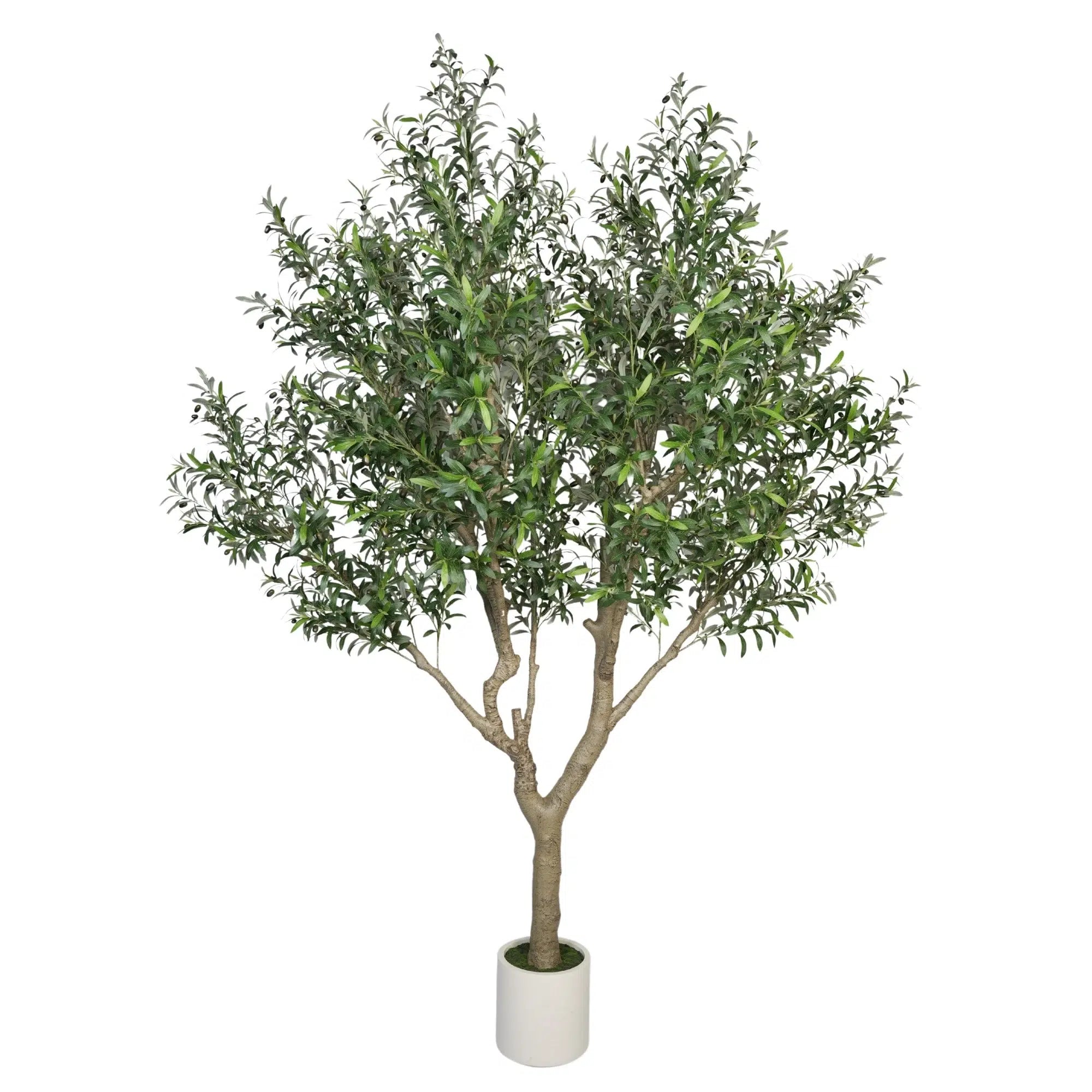 Nearly Natural Extra Large Olive Tree with Olives 280cm - Designer Plants