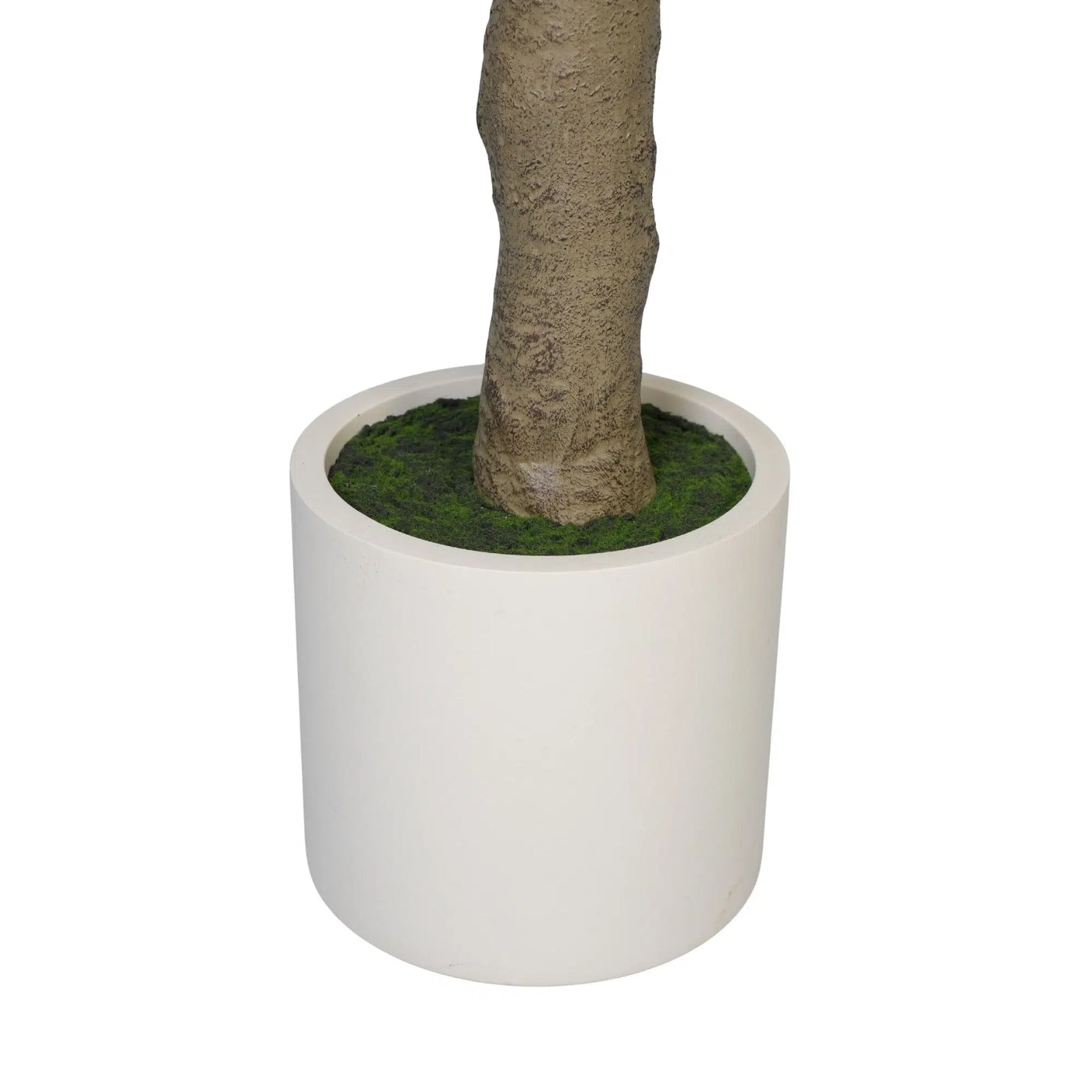 Nearly Natural Extra Large Olive Tree with Olives 280cm