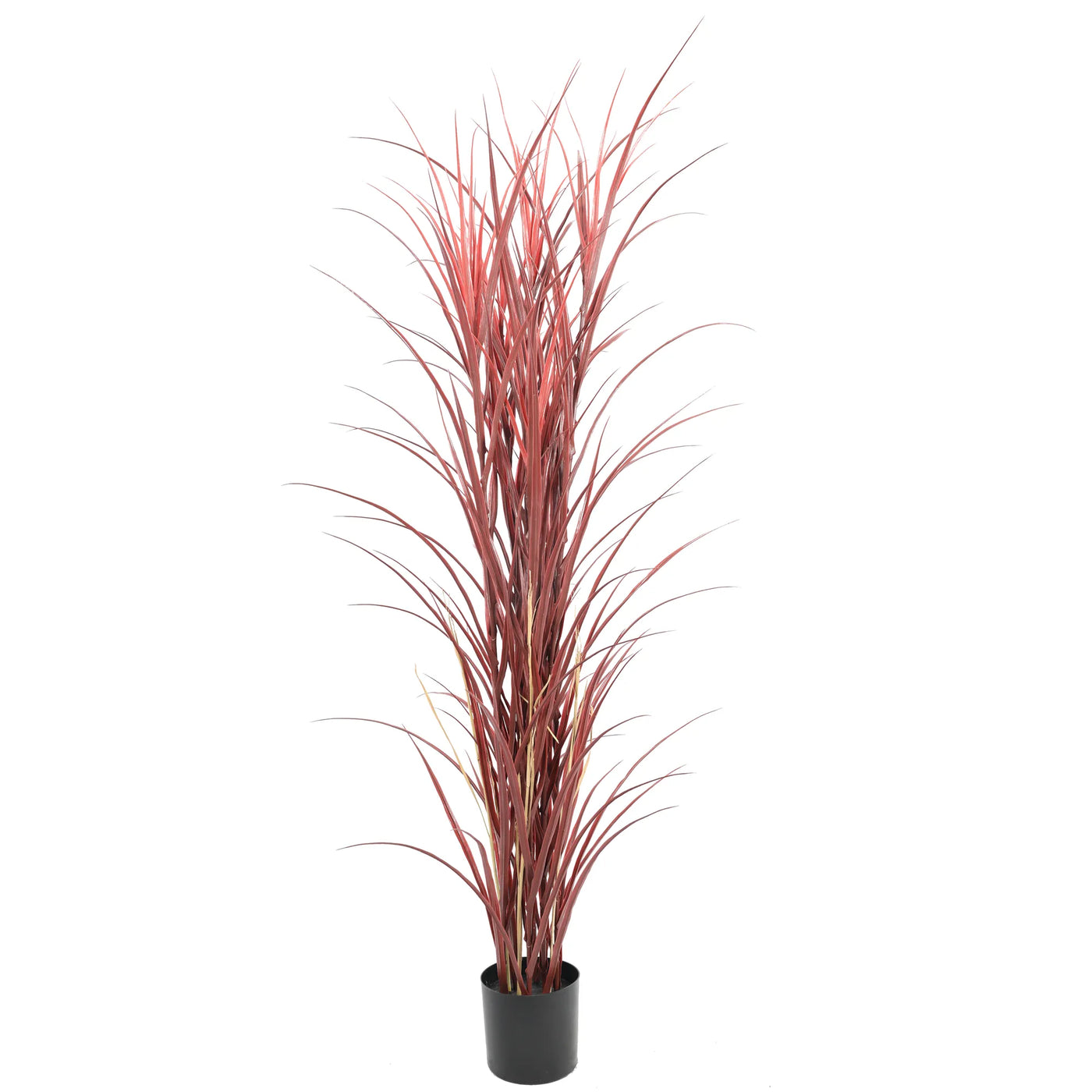 Premium Potted Burgundy Artificial Long Grass (Yucca Grass / Reed Grass) 180cm UV Resistant