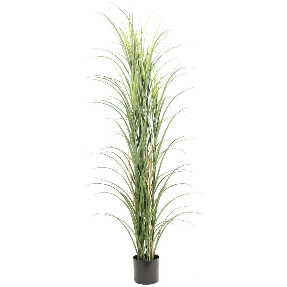 Premium Potted Artificial Long Grass (Yucca Grass / Reed Grass) 180cm UV Resistant - Designer Plants