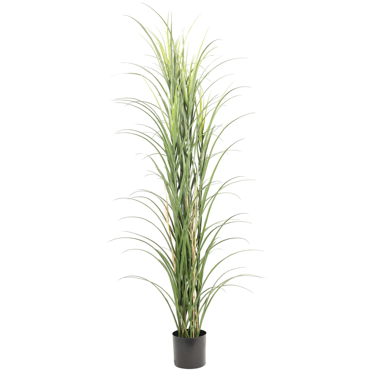 Premium Potted Artificial Long Grass (Yucca Grass / Reed Grass) 180cm UV Resistant - Designer Plants