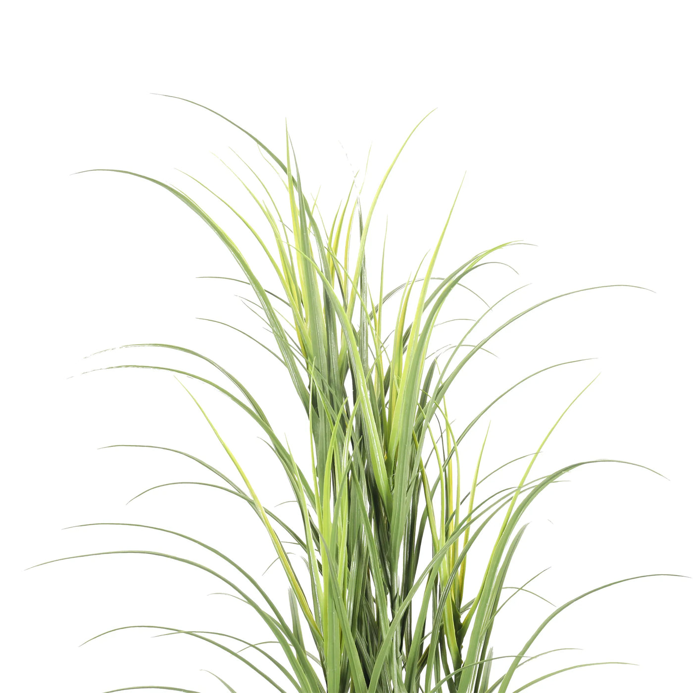 Premium Potted Artificial Long Grass (Yucca Grass / Reed Grass) 180cm UV Resistant