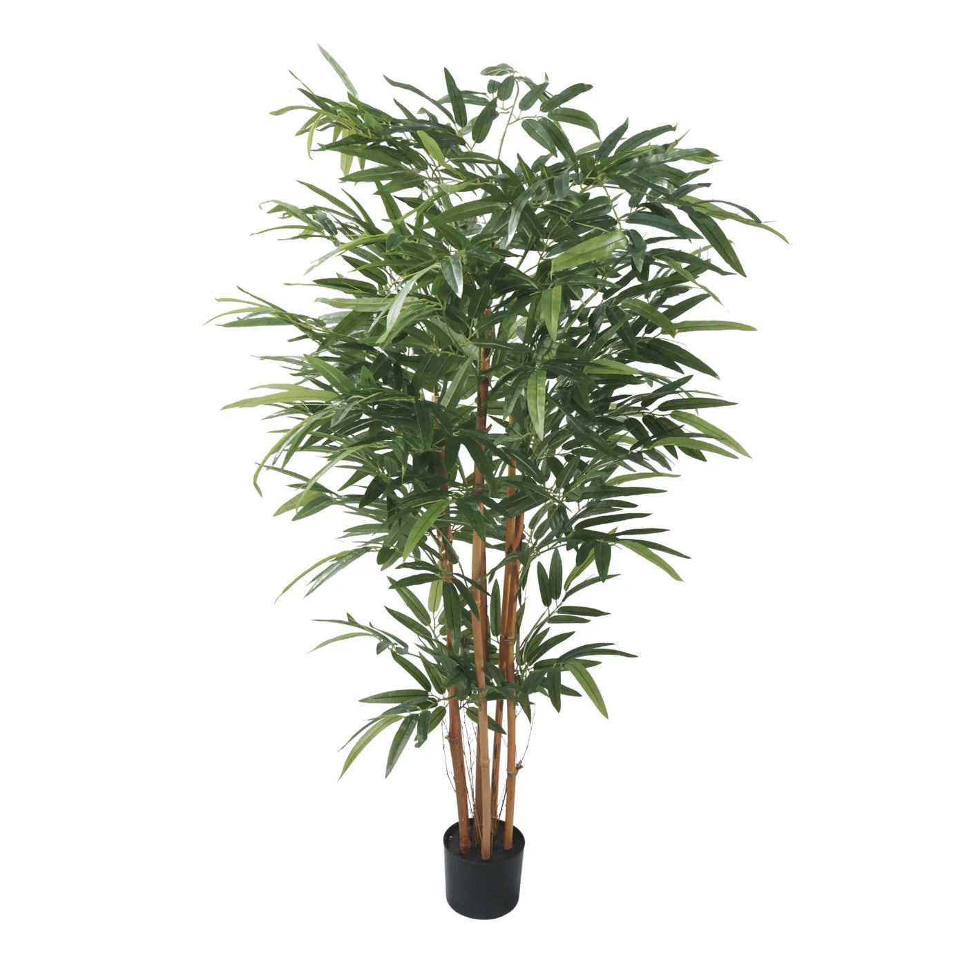 Premium Two-tone Green Artificial Bamboo Plant 150cm - Designer Plants