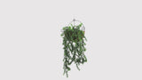 Artificial Hanging Willow Leaf Garland Bush UV Resistant and Fire Rated 18cm x 76cm - product video