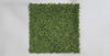 Mixed Boxwood Hedge Panels / Screens UV Resistant 1m x 1m - product video