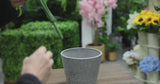 Artificial Monstera Split Leaf Philodendron Plant Stem 60cm UV Resistant - product video