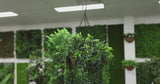 Artificial Hanging Fern Basket UV Resistant 26cm x 135cm - product video