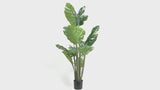 Premium Artificial Potted Monstera Tree 150cm - product video