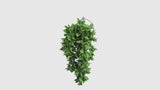 Artificial Dense Hanging Flowering Pothos Bush Vivid Green UV Resistant and Fire Rated 27cm Wide x 72cm Long - product video