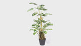 Premium Artificial Monstera Deliciosa / Variegated Monstera (Swiss Cheese) 90cm - product video