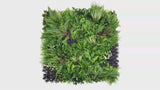 Ivory Garden Elegance artificial green wall panel video (CCGK009B.mp4)