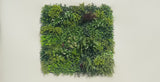 Luxury Lush Spring Recycled Vertical Garden / Green Wall UV Resistant 100cm x 100cm - product video 1 of 2