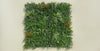 Wild Tropics Vertical Garden / Green Wall UV Resistant 100cm x 100cm - product video