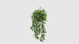Artificial Dense Hanging Lush Green Eucalyptus Garland Bush UV Resistant and Fire Rated 18cm Wide x 77cm Long - product video