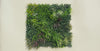 Premium Urban Greenery Artificial Vertical Garden / Green Wall UV Resistant 1m x 1m (Exclusive Model) - product video