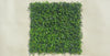 Luxury Spring Sensation Hedge Screen Green Wall Panel UV Resistant 100cm x 100cm - product video
