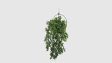 Artificial Hanging Mossy Cedar Vine Garland Bush UV Resistant and Fire Rated 22cm Wide x 75cm Long - product video 2 of 2