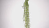 Artificial Air Plant / Spanish Moss (Old Man Beard) Dense 80cm