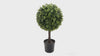 artificial single ball topiary tree 63cm - rotating product video