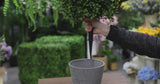 UV Resistant Artificial Planting Topiary & Spike 56cm Width 30cm - product video