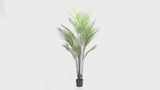Premium Dense Areca Artificial Palm Tree 180cm - product video