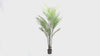 Premium Dense Areca Artificial Palm Tree 180cm - product video