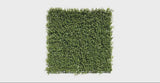 Premium Natural Buxus Hedge Panels UV Resistant 1m x 1m - product video 1 of 2