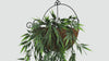 Artificial Hanging Dark Green Bamboo Leaf Garland Bush UV Resistant and Fire Rated 17cm Wide x 76cm Long - product video