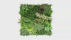 Bloom Luxe artificial green wall panel video (CCGK003A.mp4)