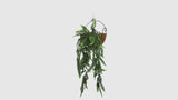Artificial Hanging Fern Garland Bush UV Resistant and Fire Rated 18cm Wide x 75cm Long - product video