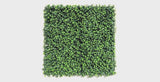 Jasmine Hedge Screen Green Wall Panel UV Resistant 100cm x 100cm - product video