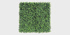 Jasmine Hedge Screen Green Wall Panel UV Resistant 100cm x 100cm - product video